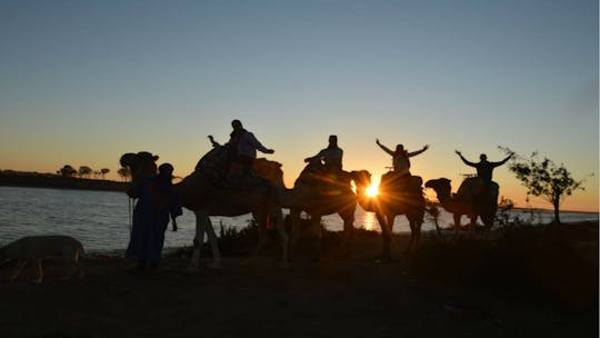 Camel ride with barbecue in Agadir