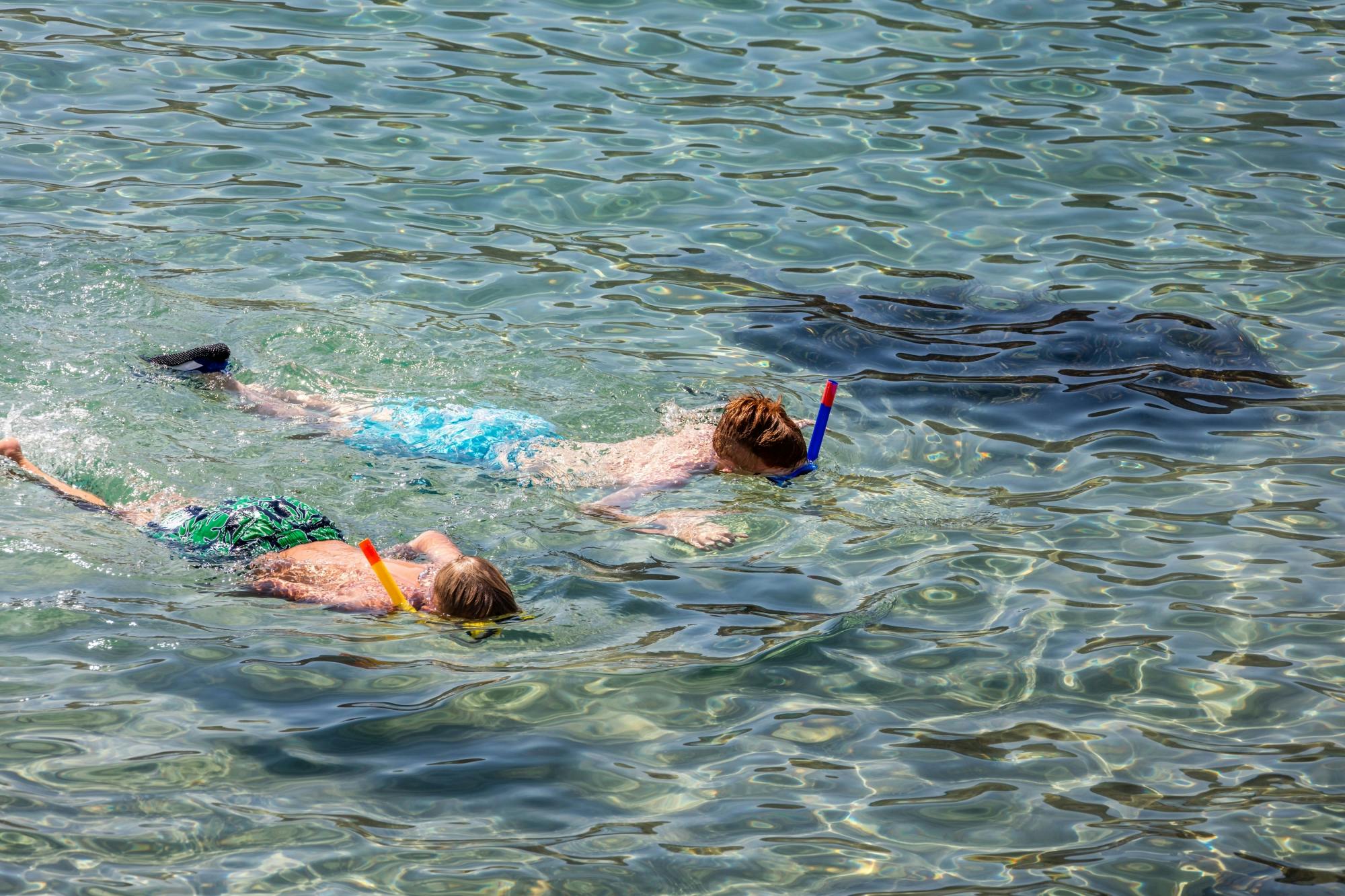 Corralejo Private Sailing Trip