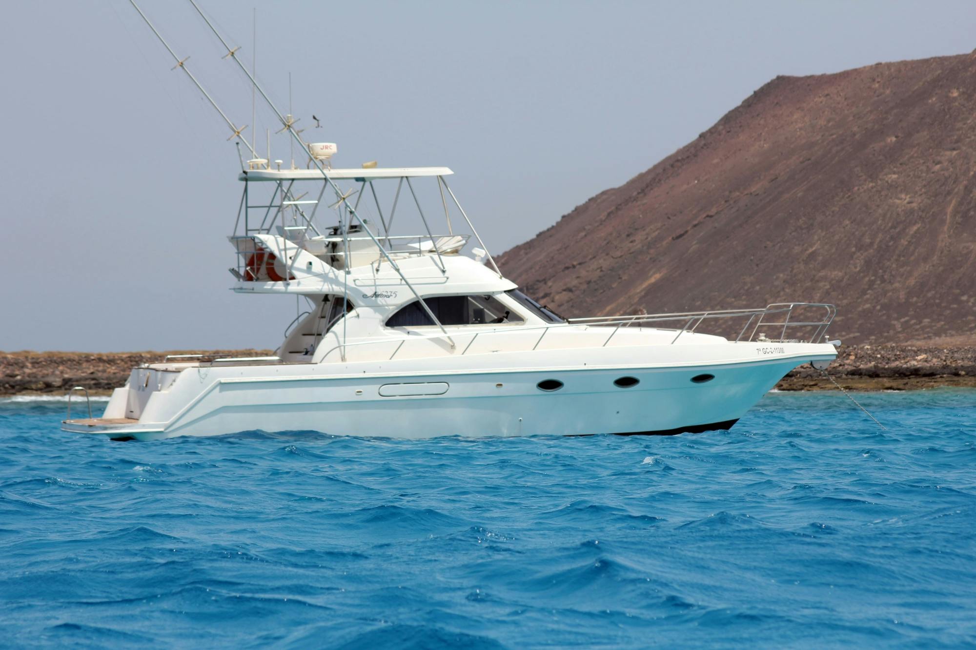 Whale & Dolphin Watching Corralejo