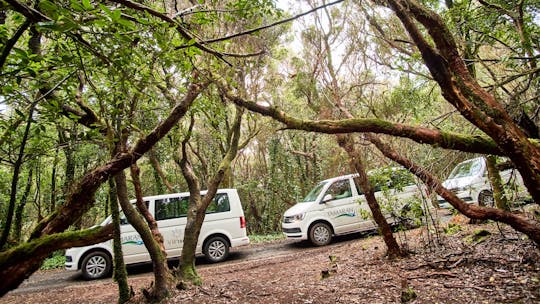 Escursione alle montagne La Laguna e Anaga con pranzo