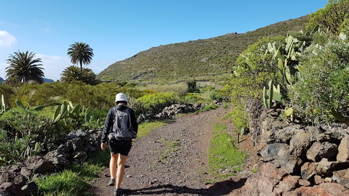 Trektocht op het Koninklijke Pad van Tenerife