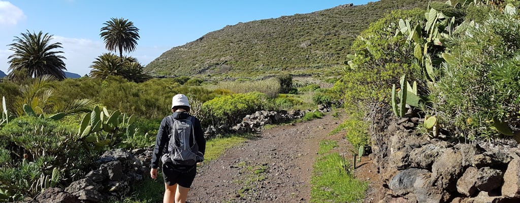 Trekkingtour auf dem Königsweg von Teneriffa