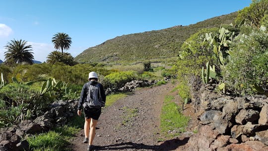 Passeio de trekking no Caminho Real de Tenerife