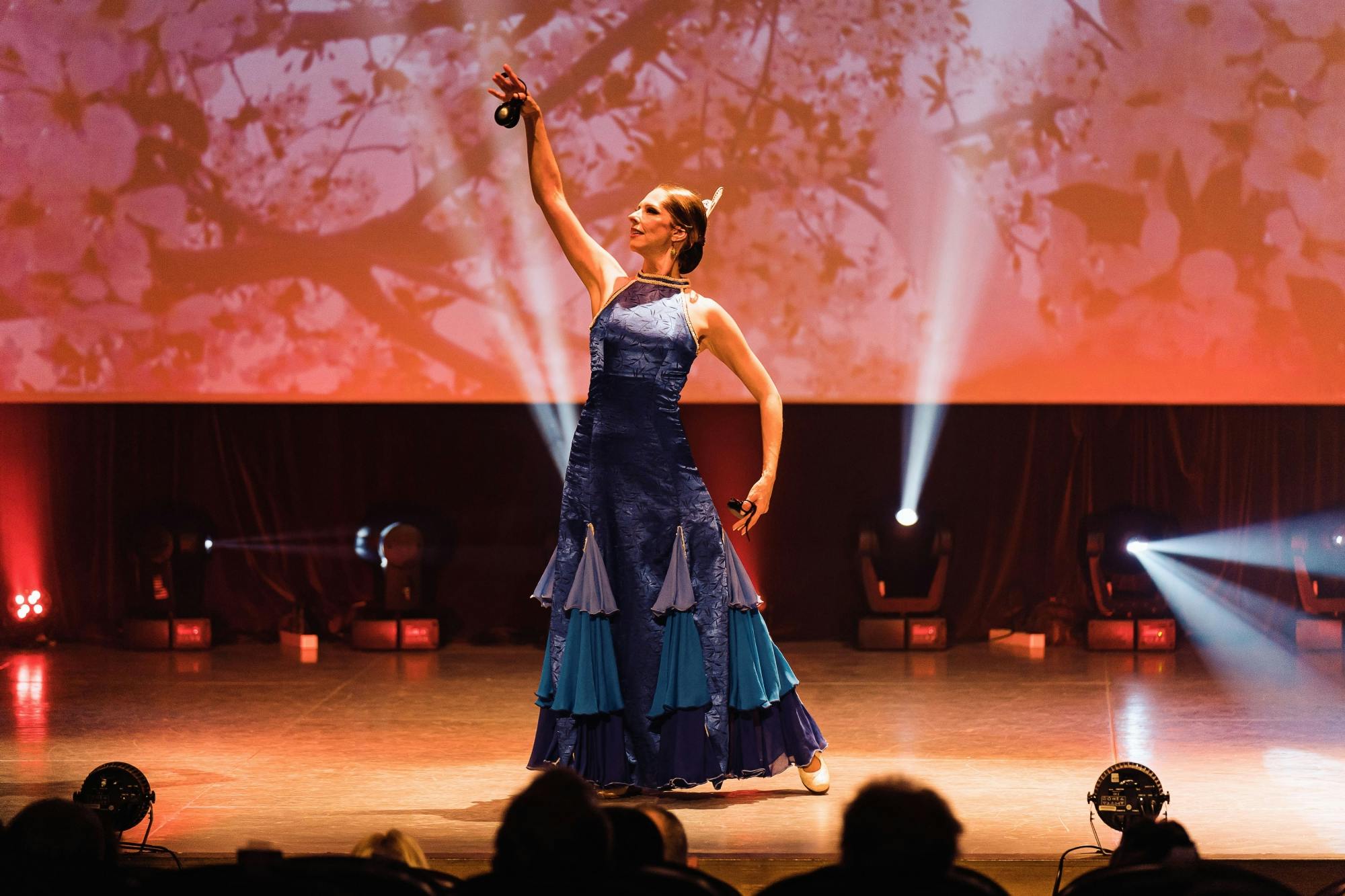 Flamenco Timanfaya