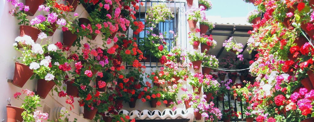 Cordoba Old Town guided tour with mosque visit