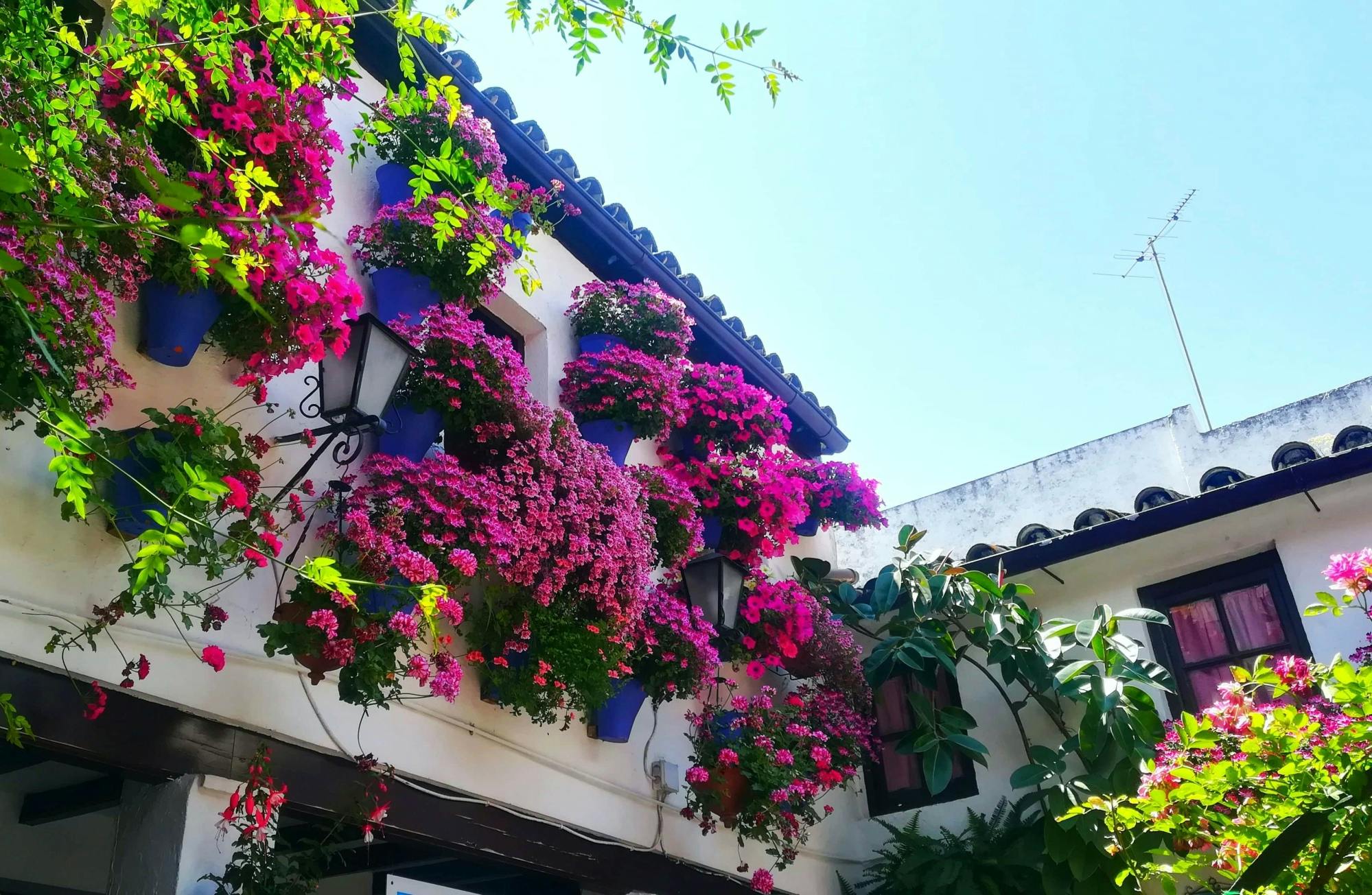 Cordoba Old Town Guided Tour including Mosque Visit