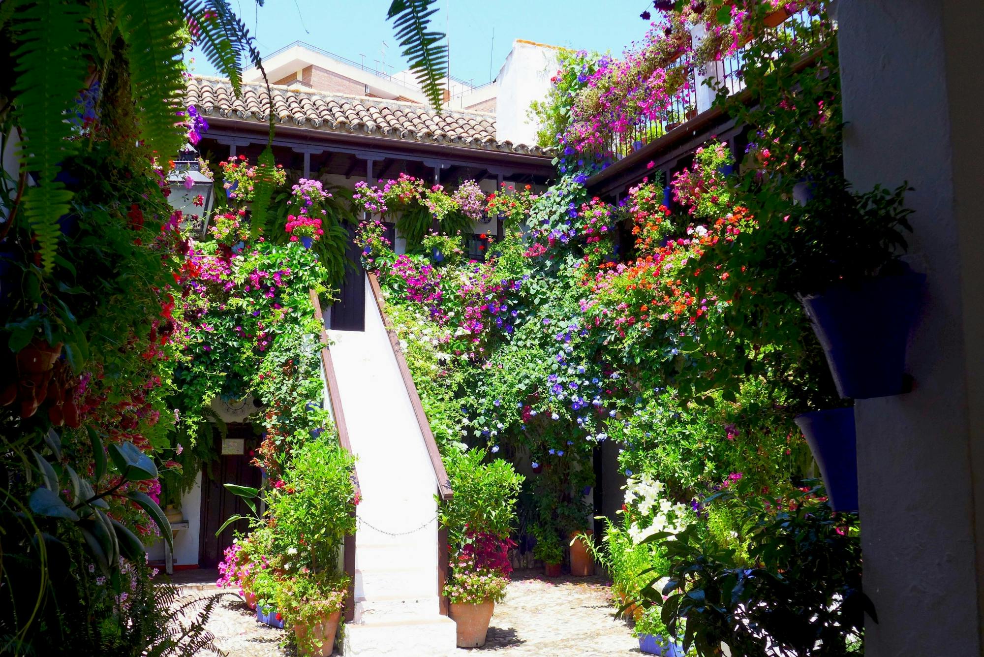 Cordoba Old Town Guided Tour including Mosque Visit