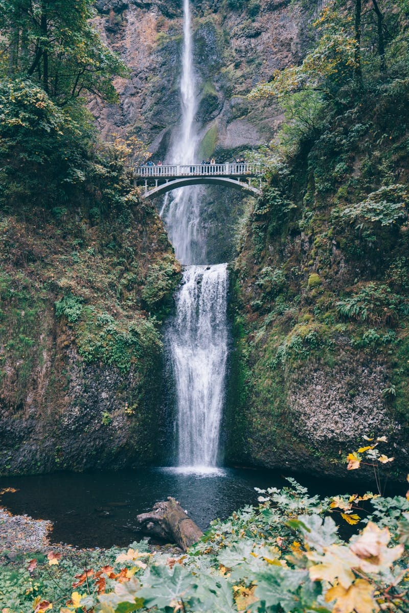 Afternoon half day to Multnomah Falls and River Gorge Waterfalls Musement
