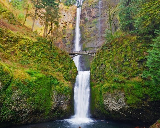 Afternoon half-day to Multnomah Falls and River Gorge Waterfalls