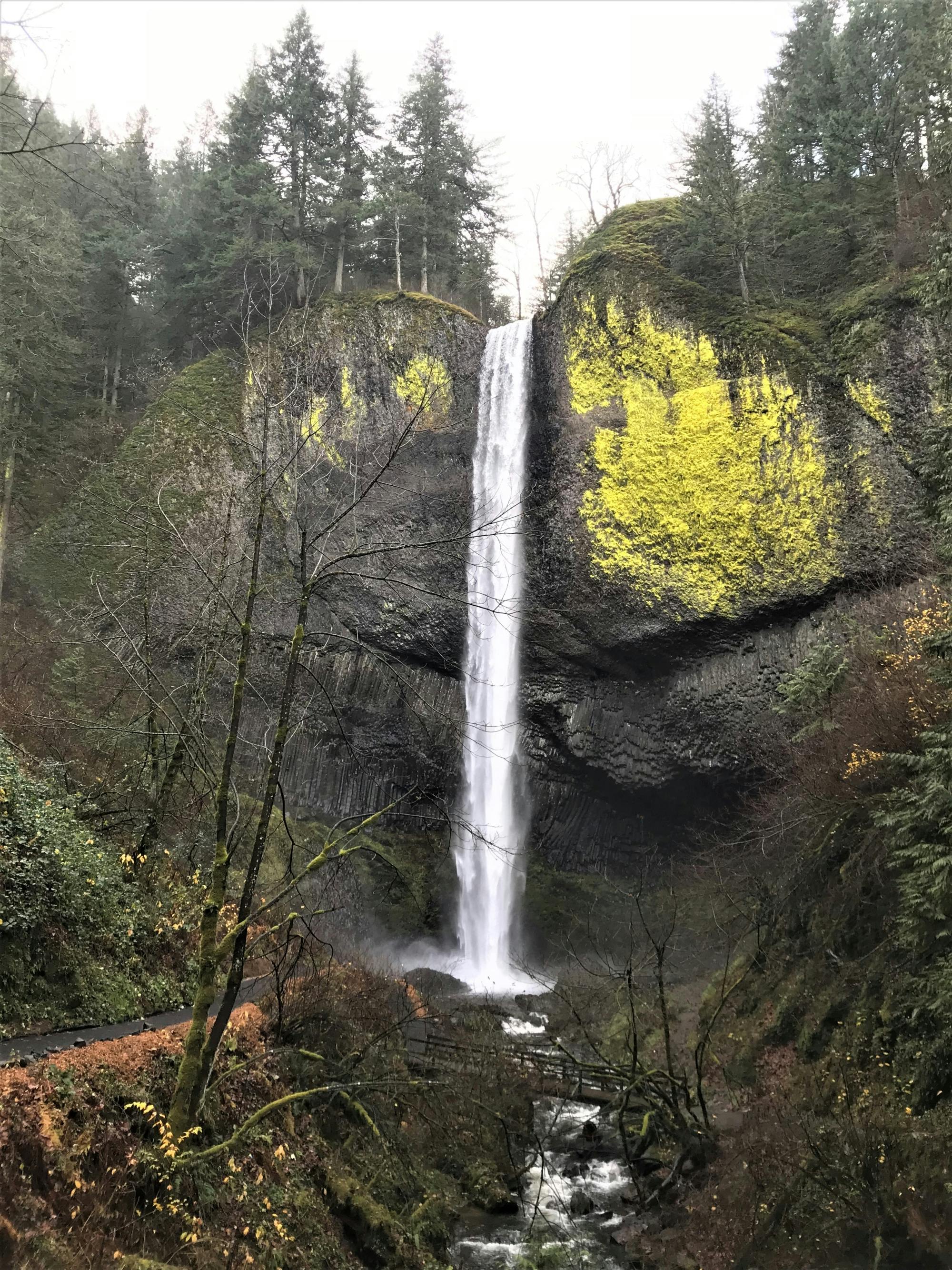 Morning half day to Multnomah Falls and River Gorge Waterfalls Musement