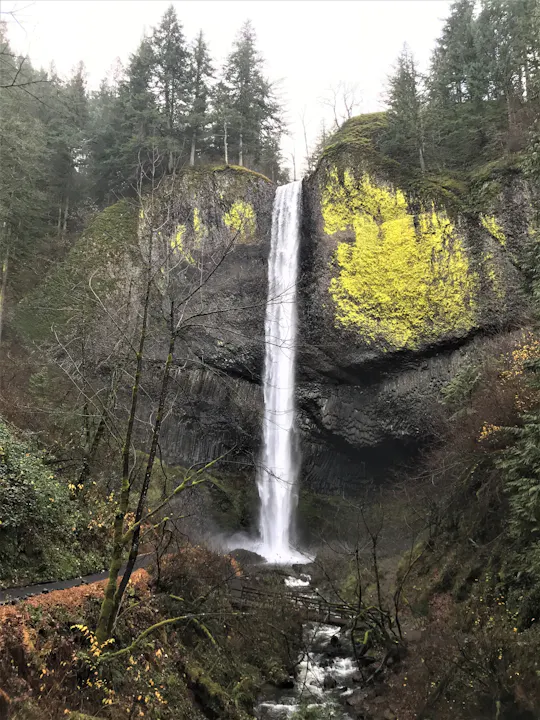 Morning half-day to Multnomah Falls and River Gorge Waterfalls