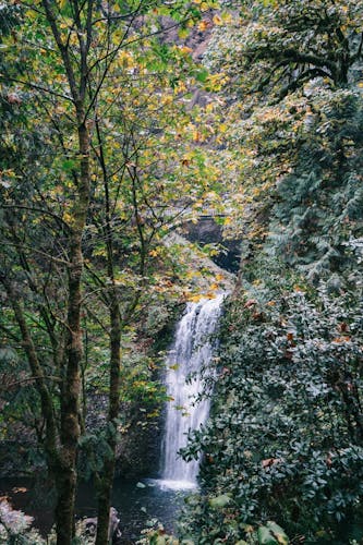 Morning half-day to Multnomah Falls and River Gorge Waterfalls