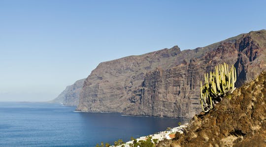 Bus tour from the south to the north of Tenerife