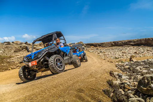 fareharbor-depalmtours|138804-612282