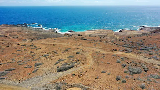 fareharbor-depalmtours|138804-612283