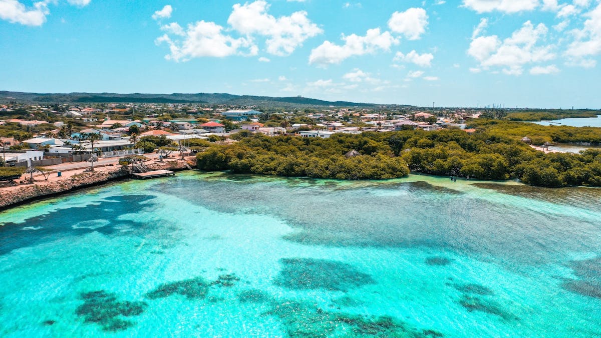 fareharbor-depalmtours|309298-591203