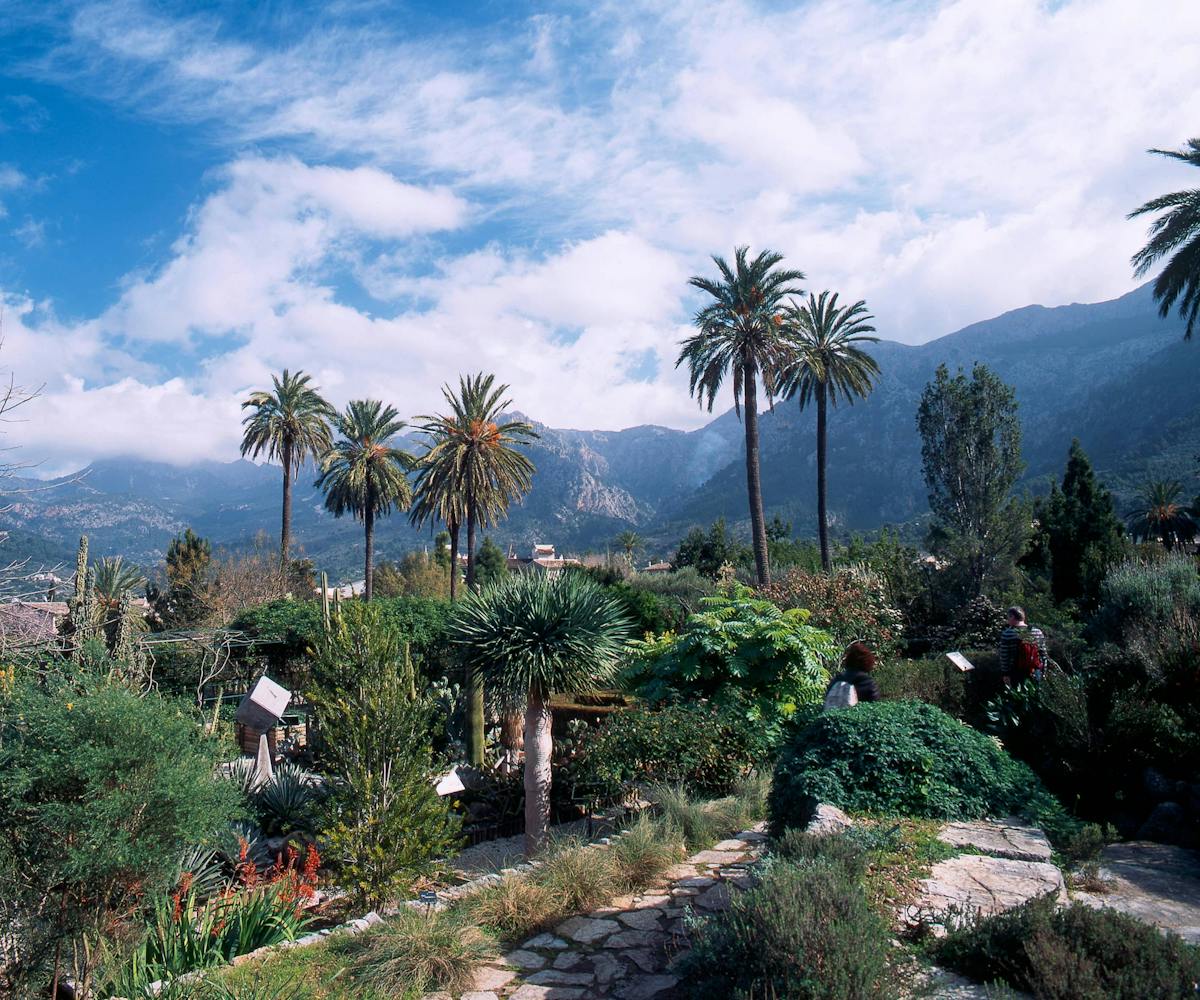 Soller Botanical Garden Ticket