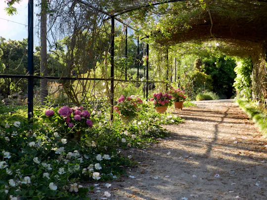 Sóller Botanischer Garten Ticket