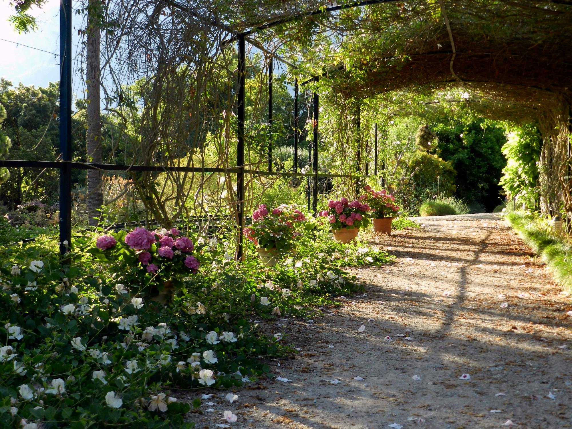 Entrada al Jardín Botánico de Sóller