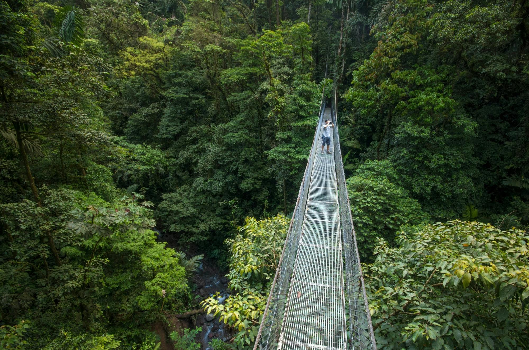 Arenal Puentes Colgantes