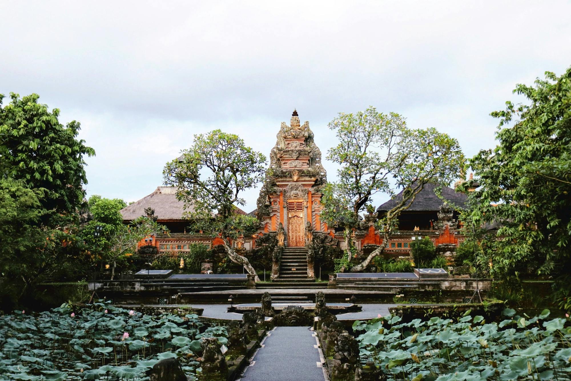 Surface of Ubud Private Full-Day Tour