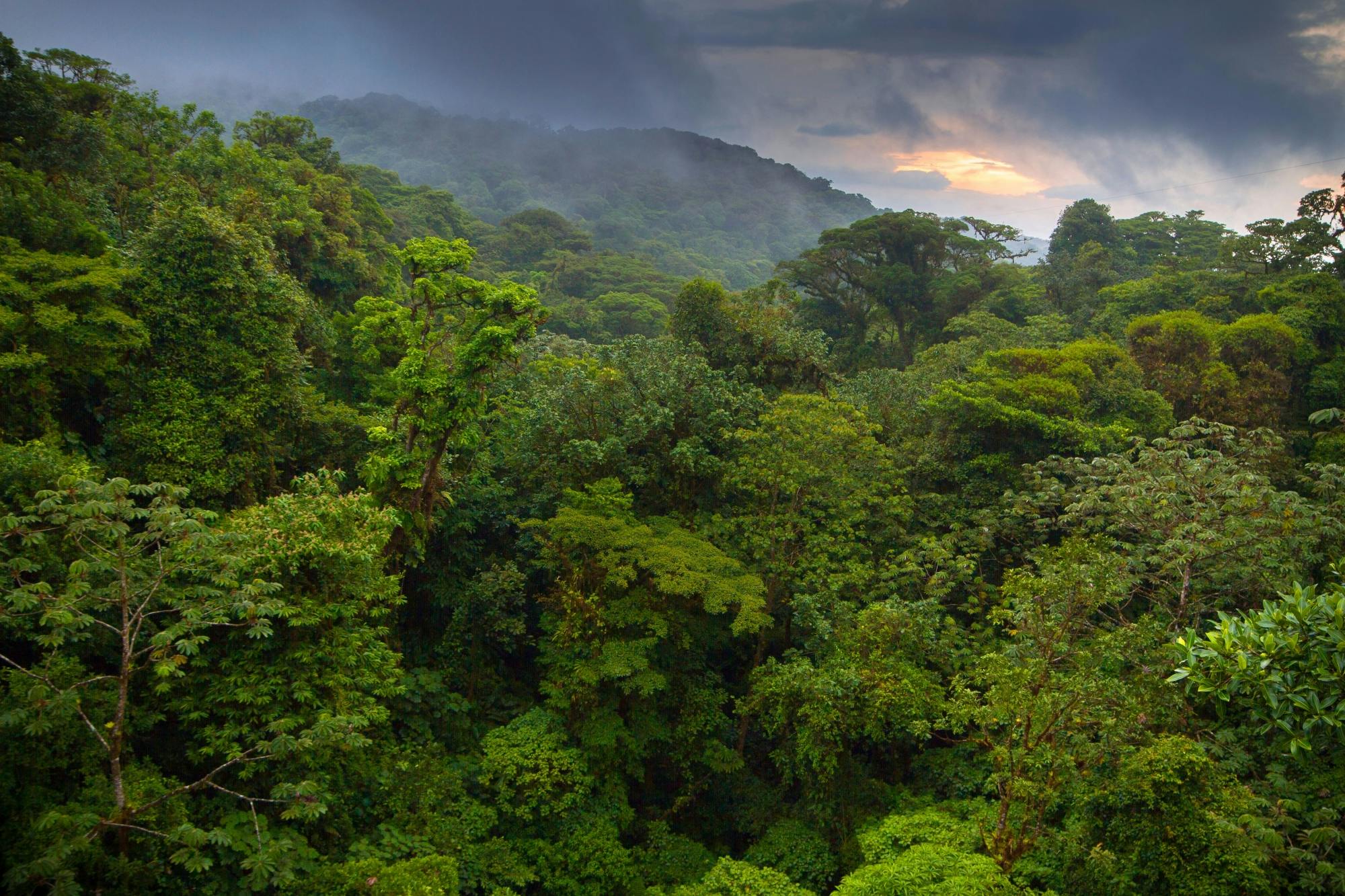 Arenal Hanging Bridges Hiking Tour