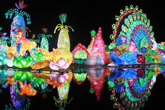 Toegang tot Dubai Garden Glow-ticket