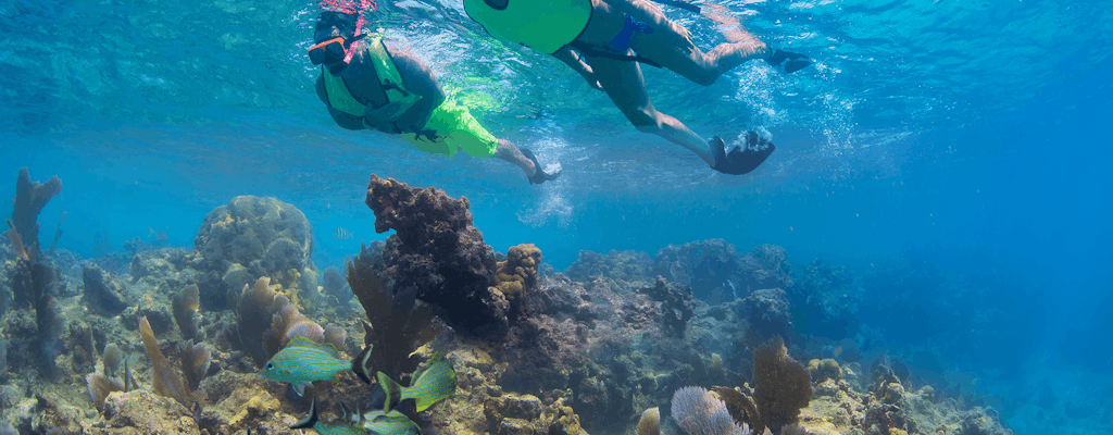 Gita di un giorno a Key West e avventura di snorkeling