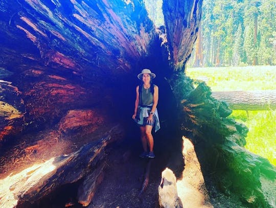 Visite du parc national de Sequoia au départ de Fresno