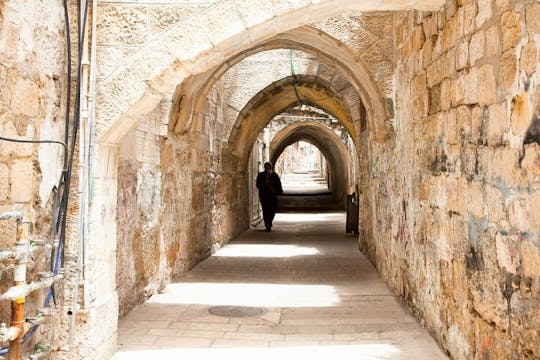 Jerusalén antigua y presente más visita guiada a Yad Vashem