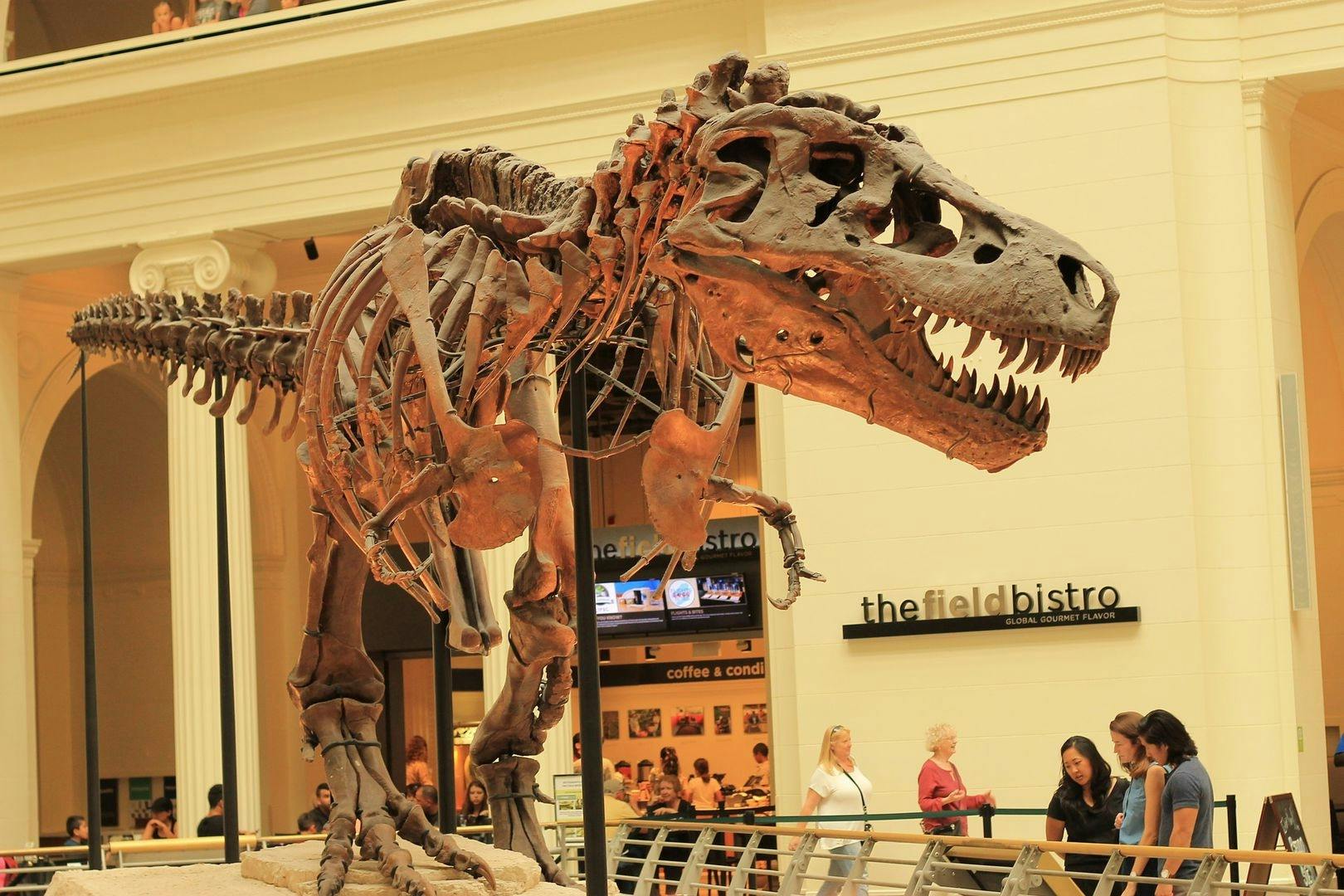 Field Museum of Natural History tickets and audio tour Musement