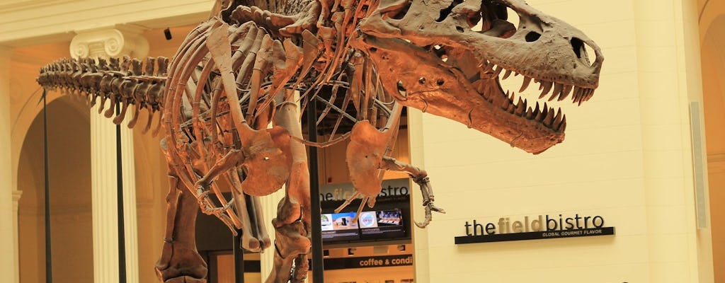 Field Museum of Natural History tickets en audiotour