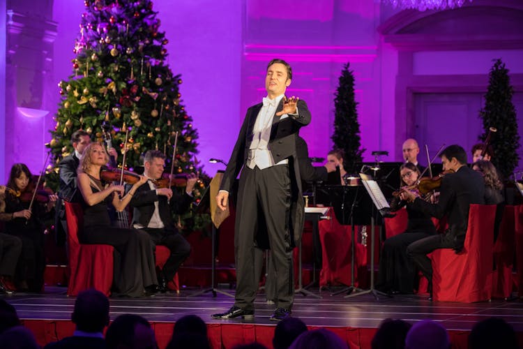 Christmas Market visit and Classical Concert at Schoenbrunn Palace
