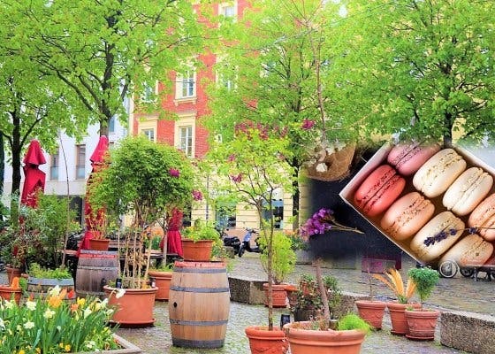 Rassemblement urbain à Munich "Thriller pâtisserie dans le quartier français"