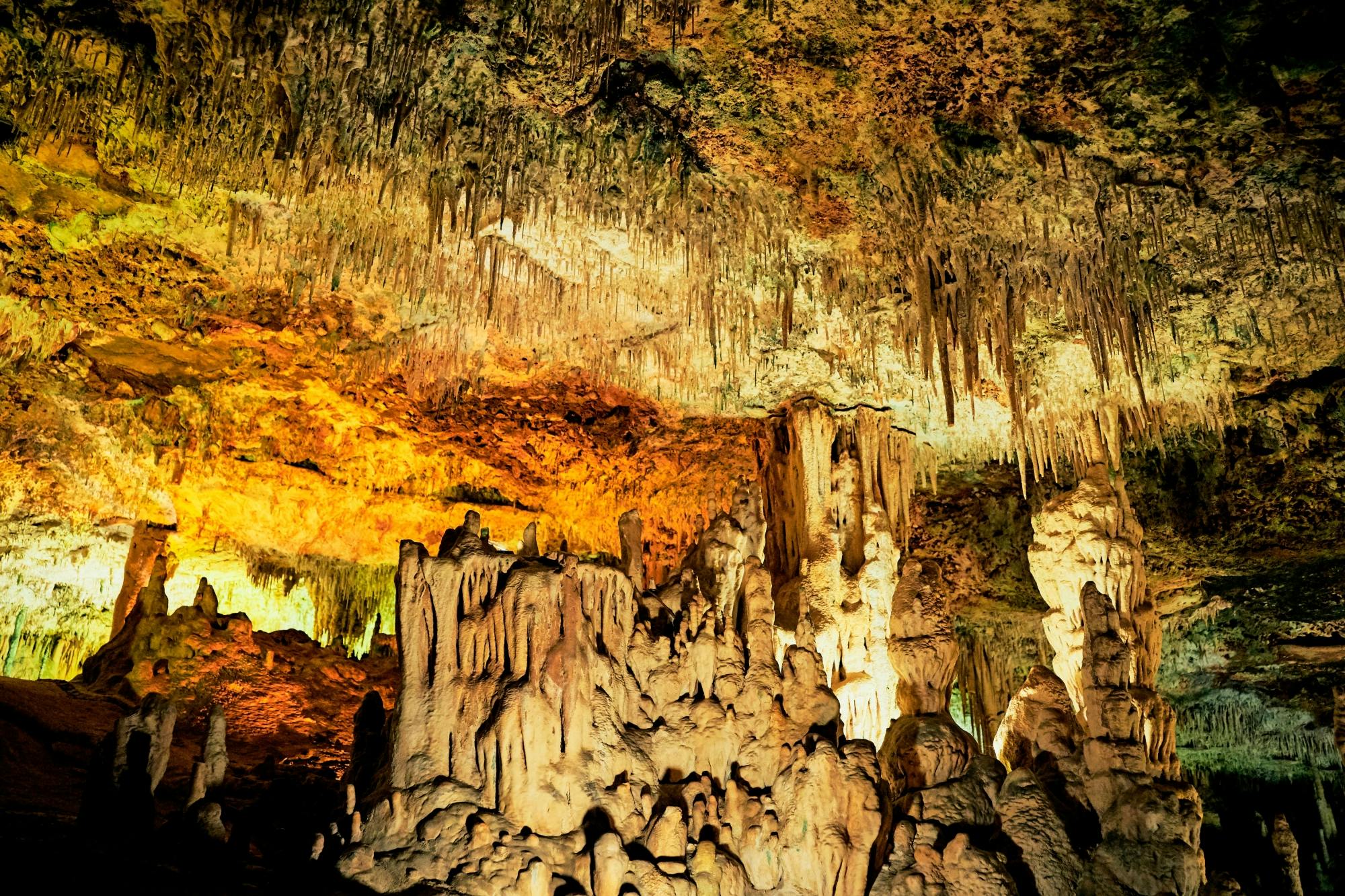 Guided Tour of Hams Caves & Dinosaurland Ticket