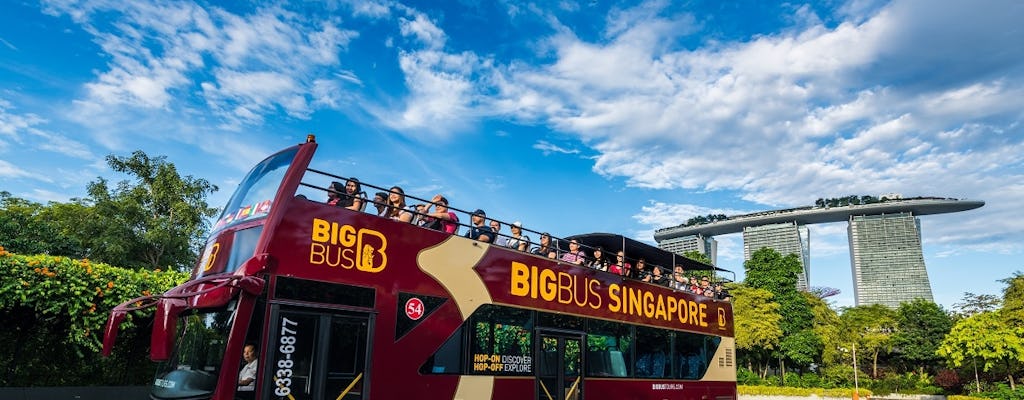 Tour notturno panoramico del Big Bus di Singapore