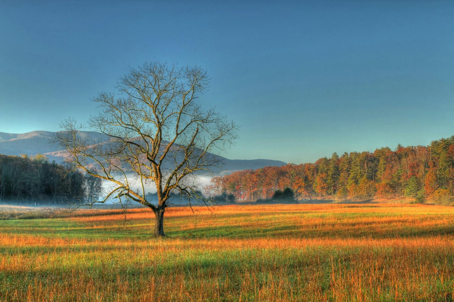 Cades Cove and Great Smoky self-guided bundle tour