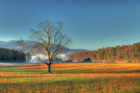 Cades Cove and Great Smoky self-guided bundle tour