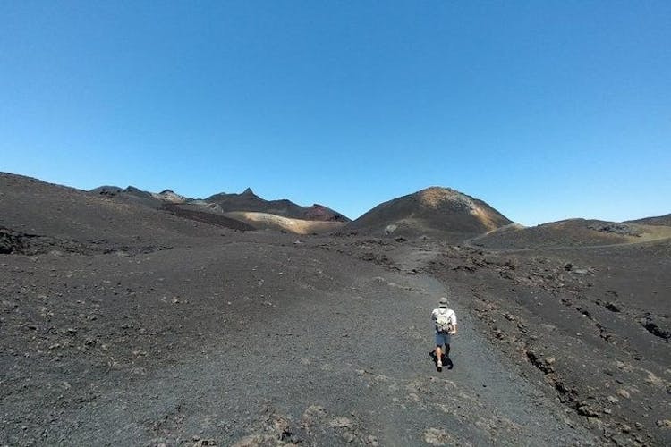 Sierra Negra Volcano and Chico Volcano guided tour from Isabela Island