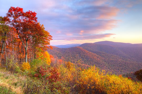 Tour audio di guida autoguidato del Parco Nazionale di Shenandoah