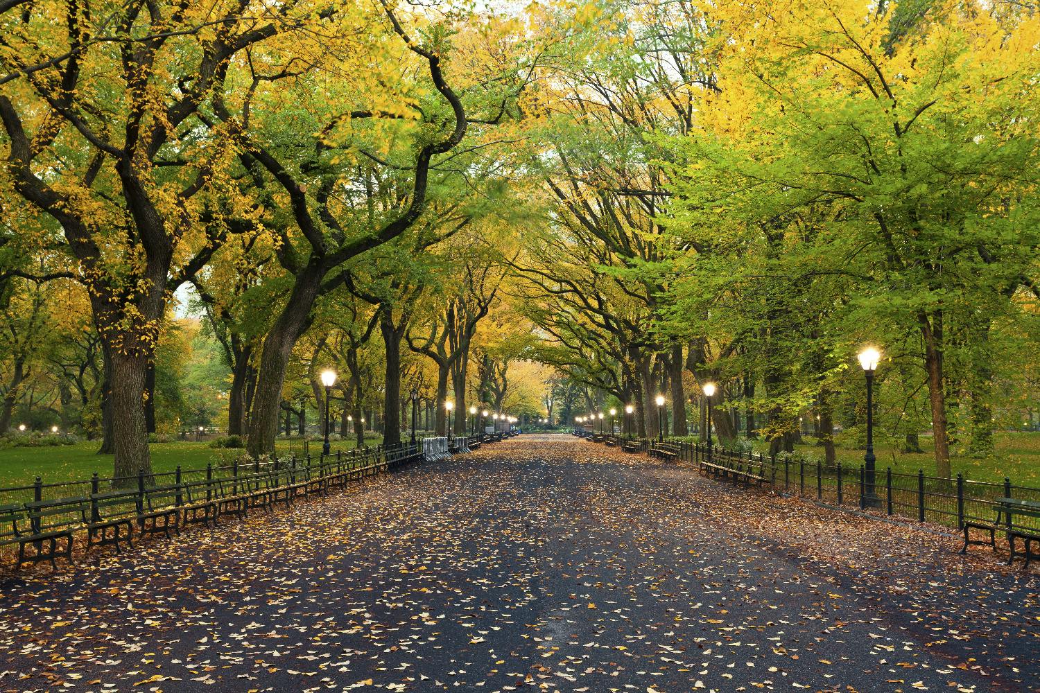 Tour a piedi autoguidato di Central Park a New York