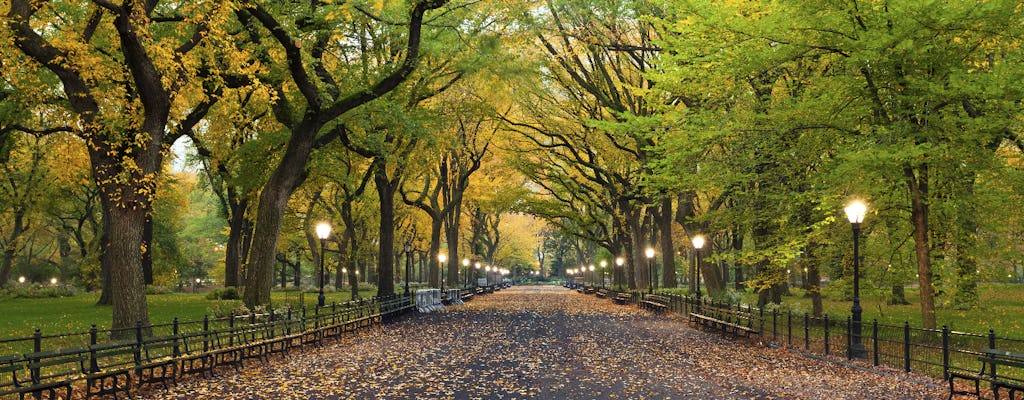 Visite à pied autoguidée de Central Park à New York