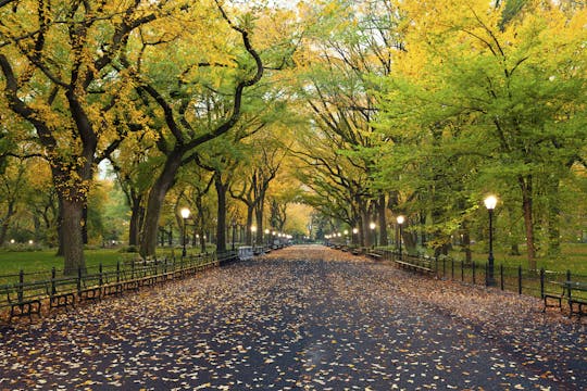 Passeio a pé autoguiado pelo Central Park em Nova York