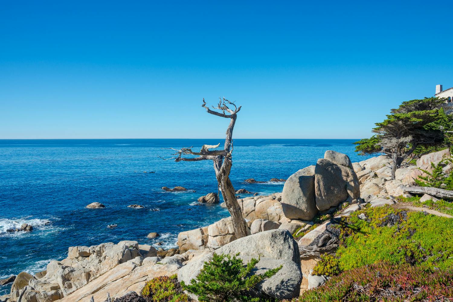Malerische, 27 Kilometer lange, selbstgeführte Autotour in Monterey