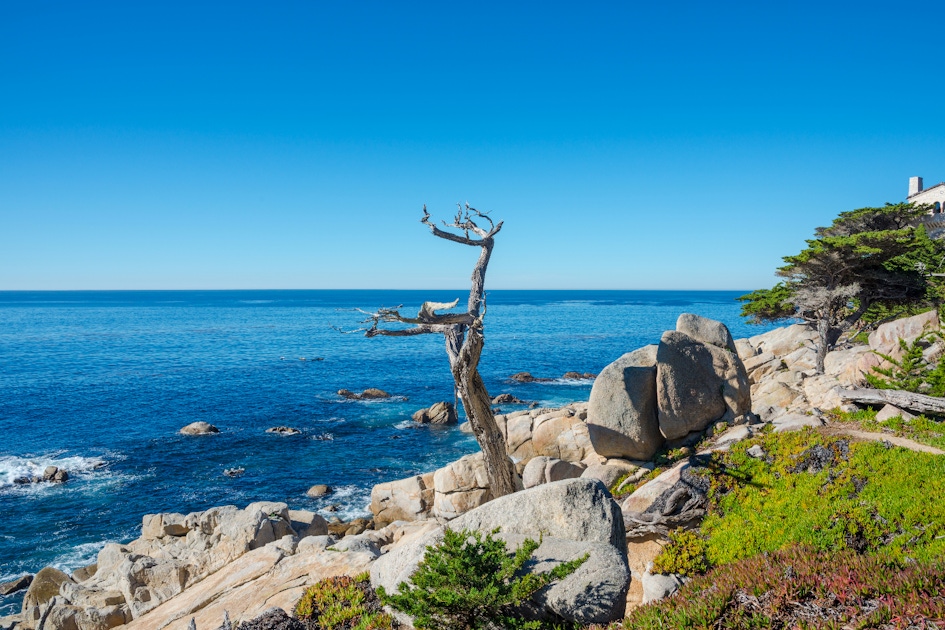 17 mile drive monterey tour