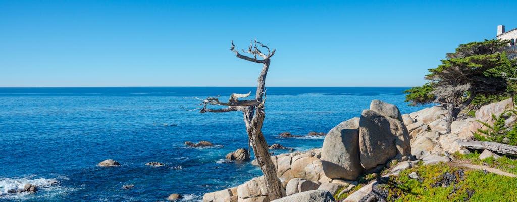 Scenic 17-mile self-guided driving tour in Monterey