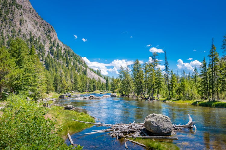 Yellowstone national park self-driving audio tour