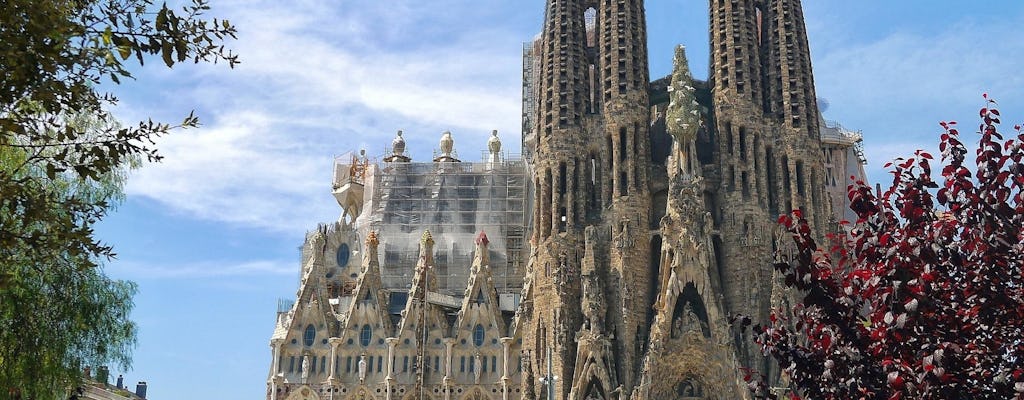 Sagrada Familia fast track ticket guided tour with tower access