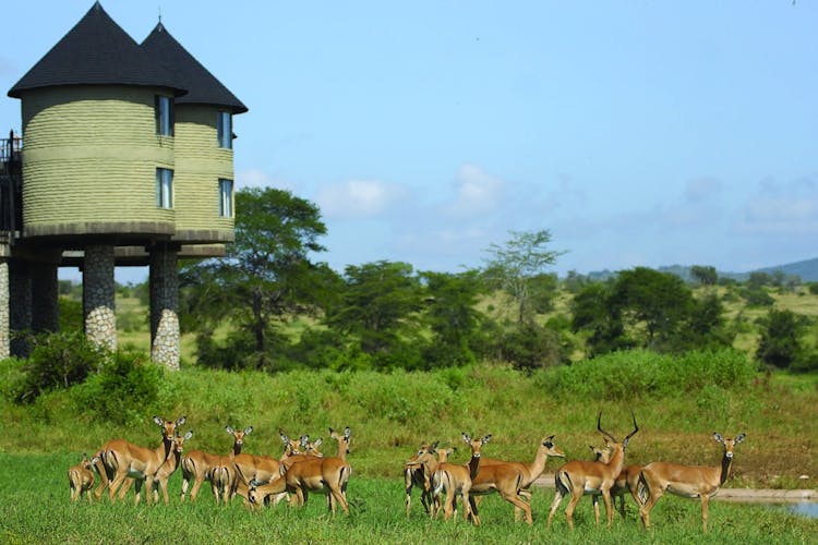 Tsavo East, Taita Hills and Salt Lick 3-day safari from Mombasa