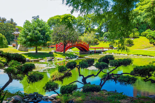 Private tour of Palermo, the Japanese and Botanical Gardens